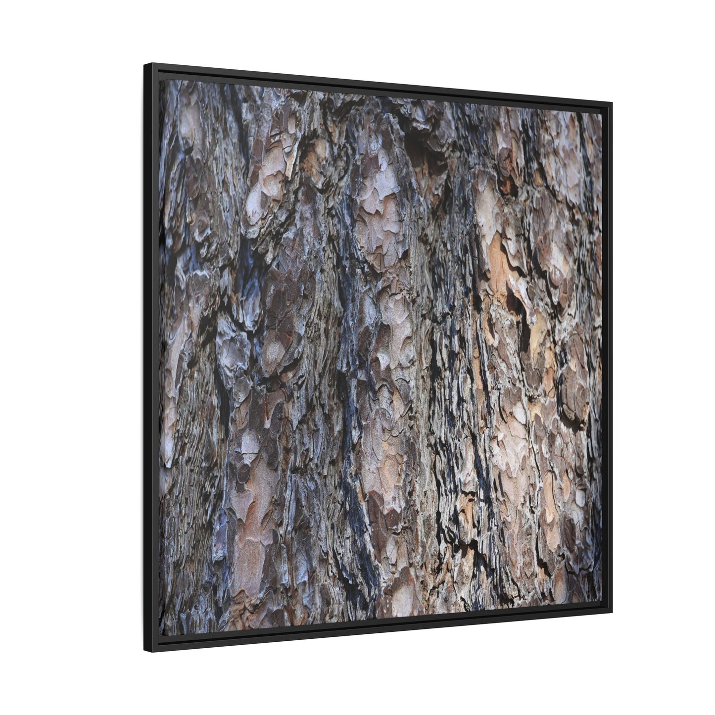 Weathered Patterns - Unique Stretched Canvas Wall Art - Art By Earth