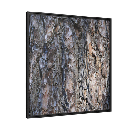 Weathered Patterns - Unique Stretched Canvas Wall Art - Art By Earth