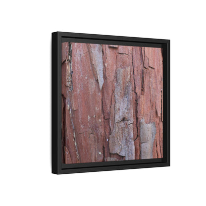 Peeling Bark - Unique Stretched Canvas Wall Art - Art By Earth