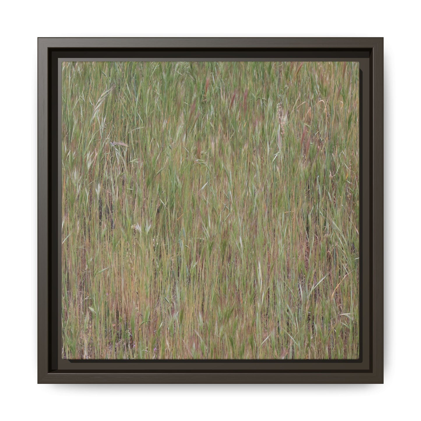 Field of Dreams - Unique Stretched Canvas Wall Art - Art By Earth