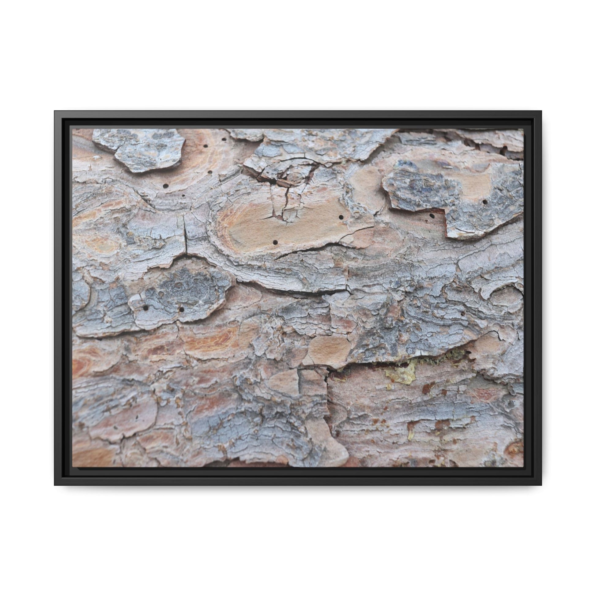 Peeling Memories - Unique Stretched Canvas Wall Art - Art By Earth