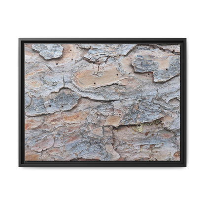 Peeling Memories - Unique Stretched Canvas Wall Art - Art By Earth