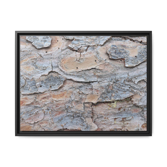 Peeling Memories - Unique Stretched Canvas Wall Art - Art By Earth