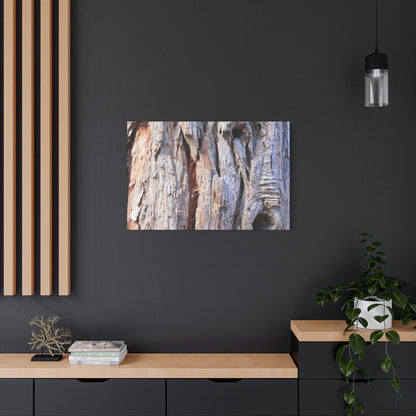 Aged Bark Surface - Unique Frameless Canvas Wall Art - Art By Earth