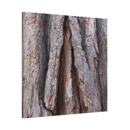 Fractured Skin of Time - Unique Frameless Canvas Wall Art - Art By Earth