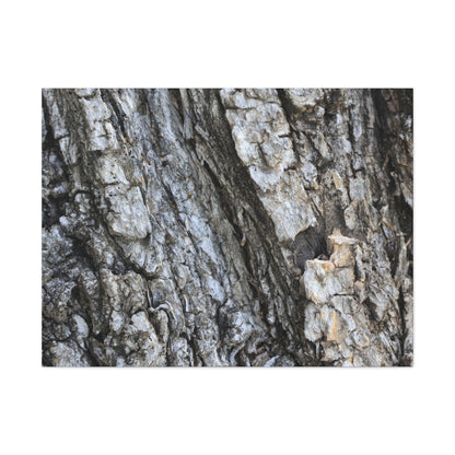 Nature's Rough Embrace - Unique Frameless Canvas Wall Art - Art By Earth