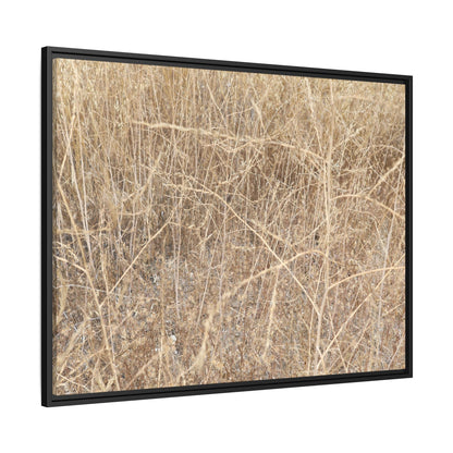 Golden Stalks - Unique Stretched Canvas Wall Art - Art By Earth