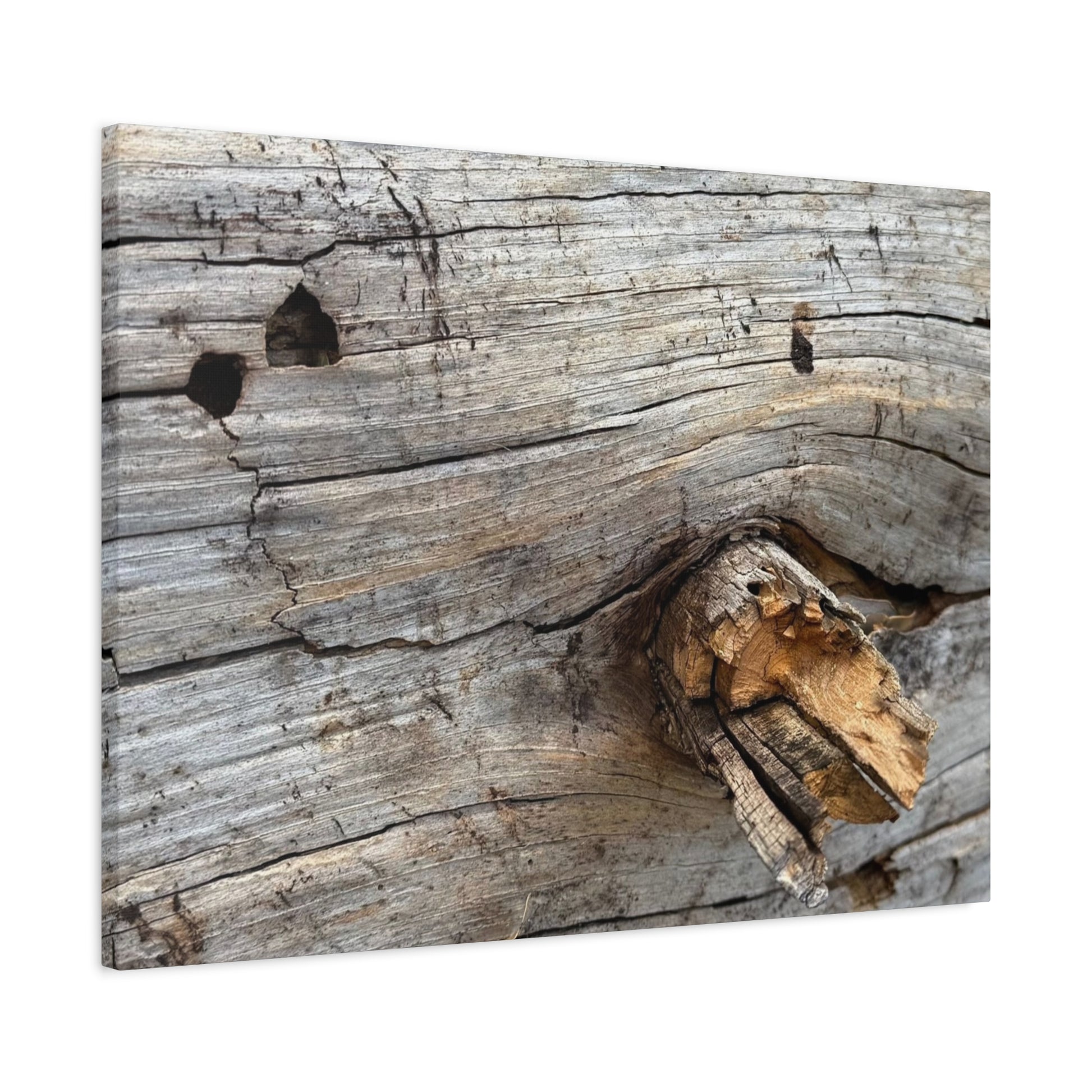 Weathered Wood Portrait - Unique Frameless Canvas Wall Art - Art By Earth