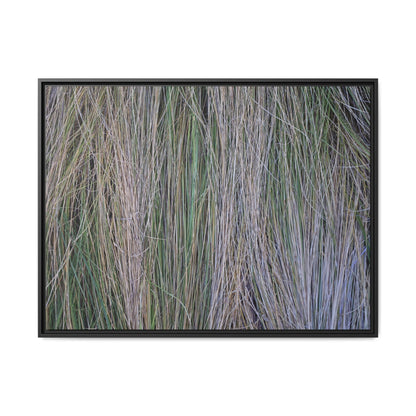 Whispers of Silver Grass - Unique Stretched Canvas Wall Art - Art By Earth