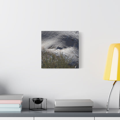 Stone Face in Nature - Unique Frameless Canvas Wall Art