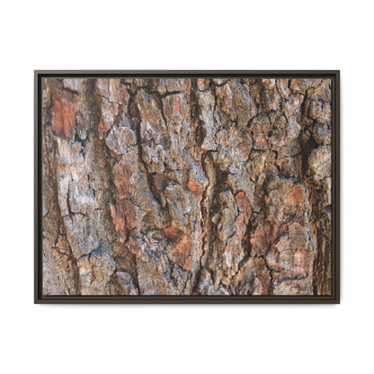 Tree's Timeworn Tale - Unique Stretched Canvas Wall Art - Art By Earth