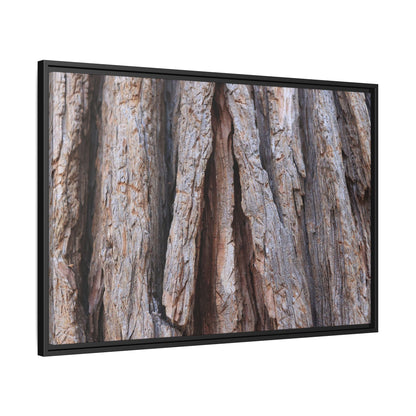 Nature's Sculpture - Unique Stretched Canvas Wall Art - Art By Earth