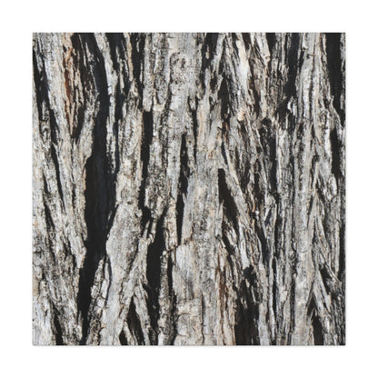 Bark Layers in Monochrome - Unique Frameless Canvas Wall Art - Art By Earth