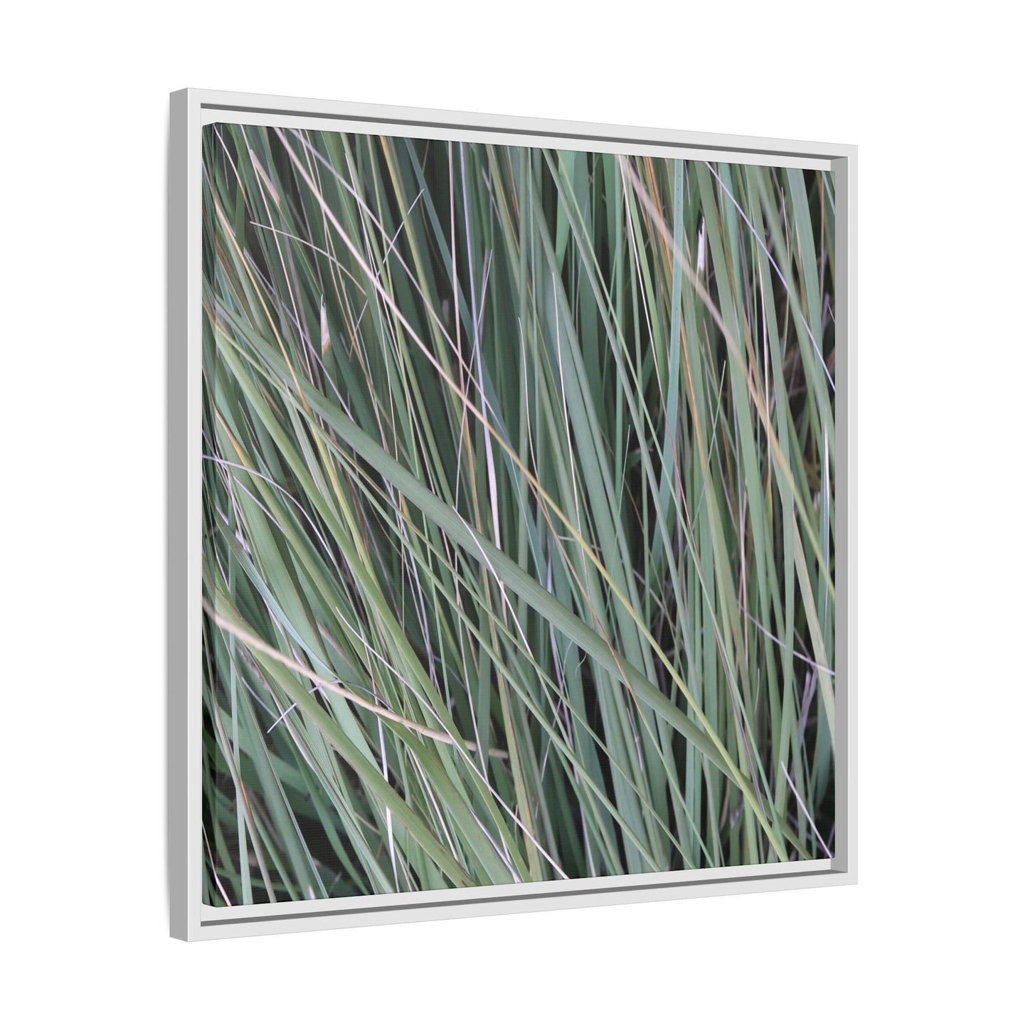 Grassland Symphony - Unique Stretched Canvas Wall Art - Art By Earth