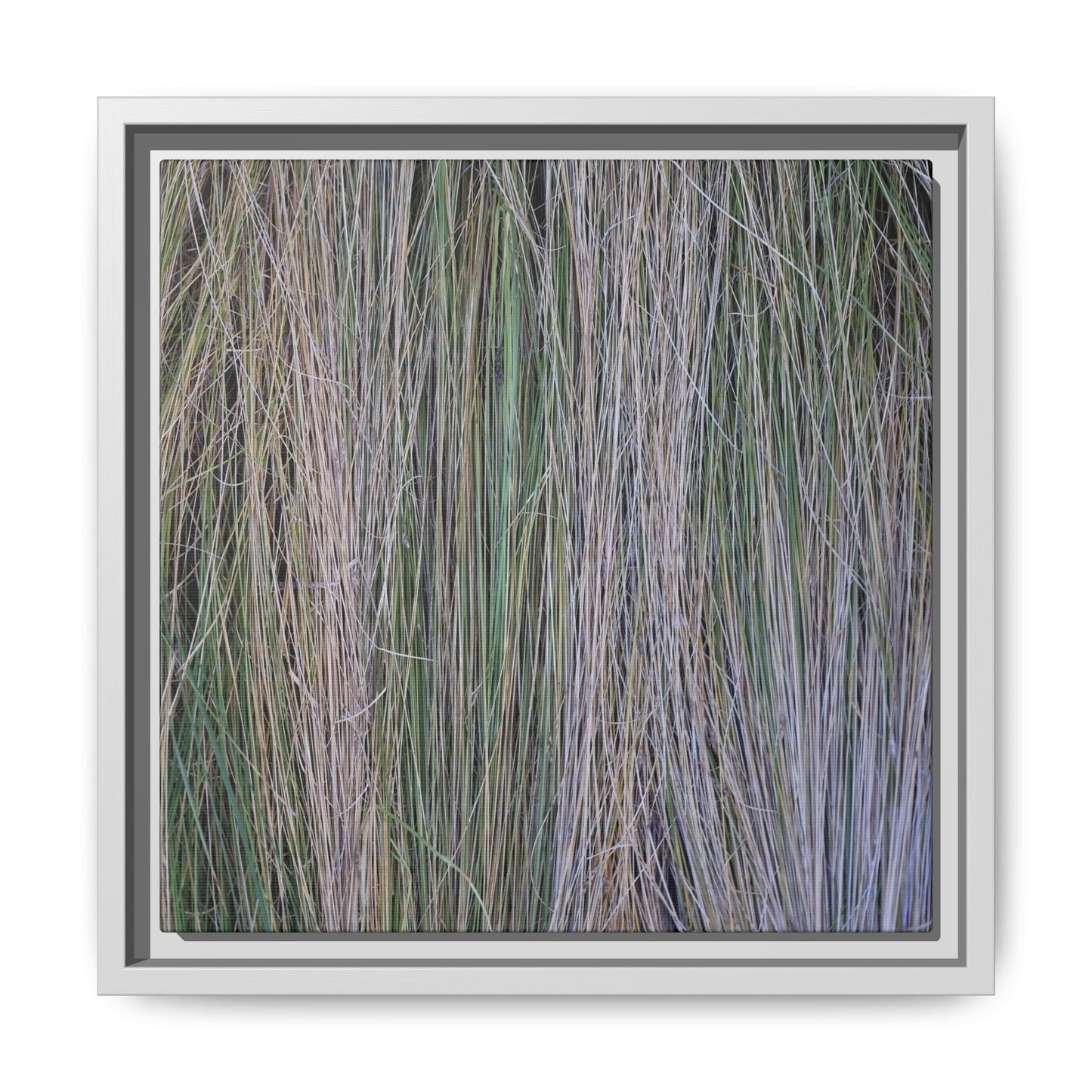 Whispers of Silver Grass - Unique Stretched Canvas Wall Art - Art By Earth