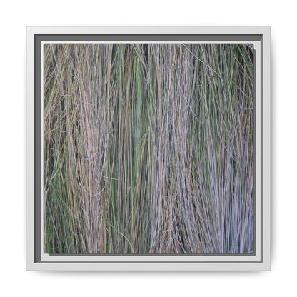 Whispers of Silver Grass - Unique Stretched Canvas Wall Art - Art By Earth