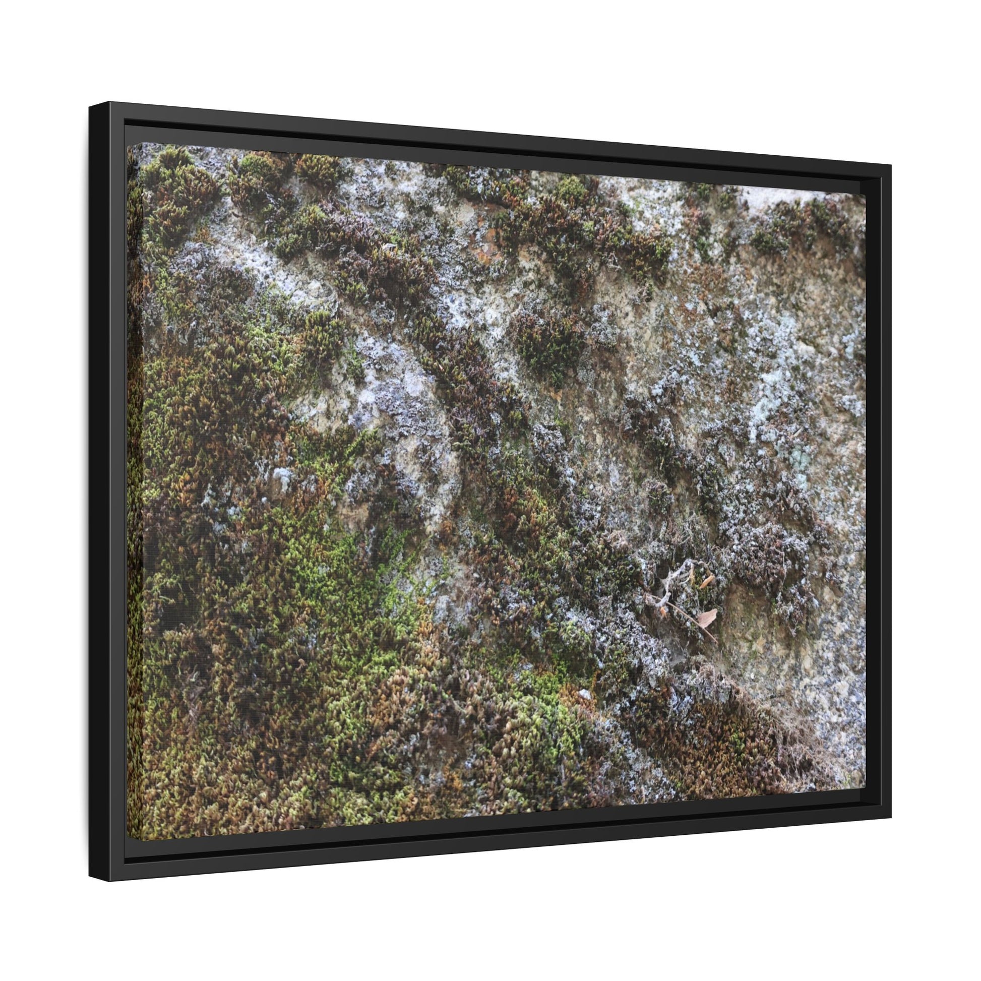 Mossy Whispers - Unique Stretched Canvas Wall Art - Art By Earth