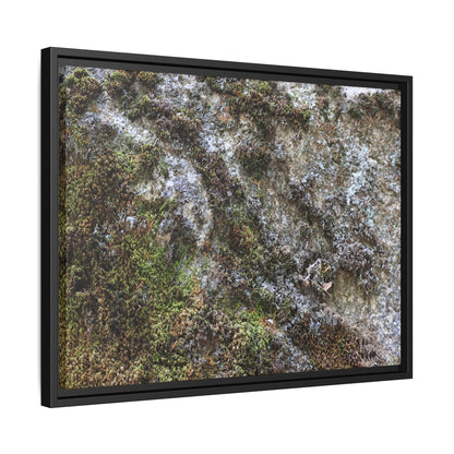 Mossy Whispers - Unique Stretched Canvas Wall Art - Art By Earth