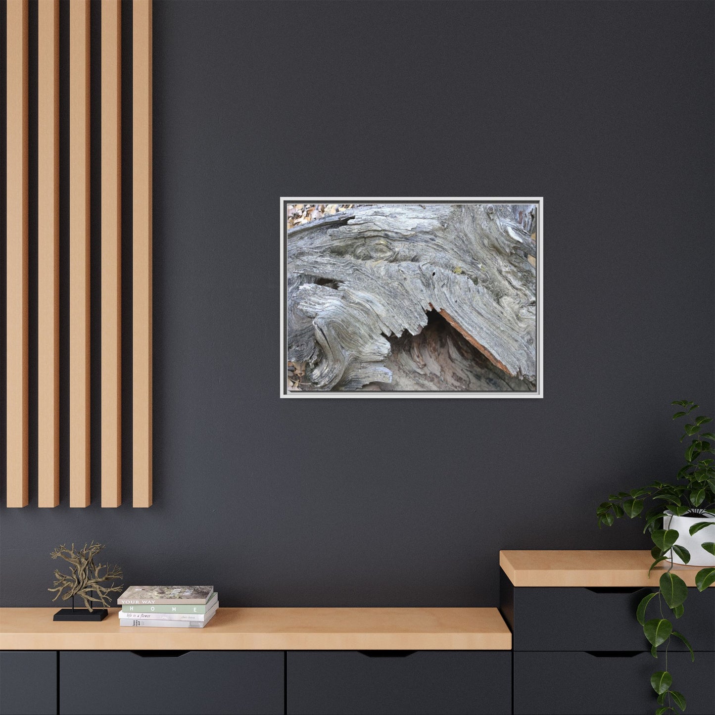 Driftwood Dreams - Unique Stretched Canvas Wall Art - Art By Earth