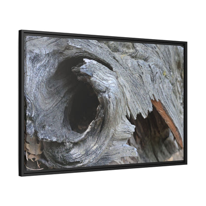 Bark's Labyrinth - Unique Stretched Canvas Wall Art - Art By Earth