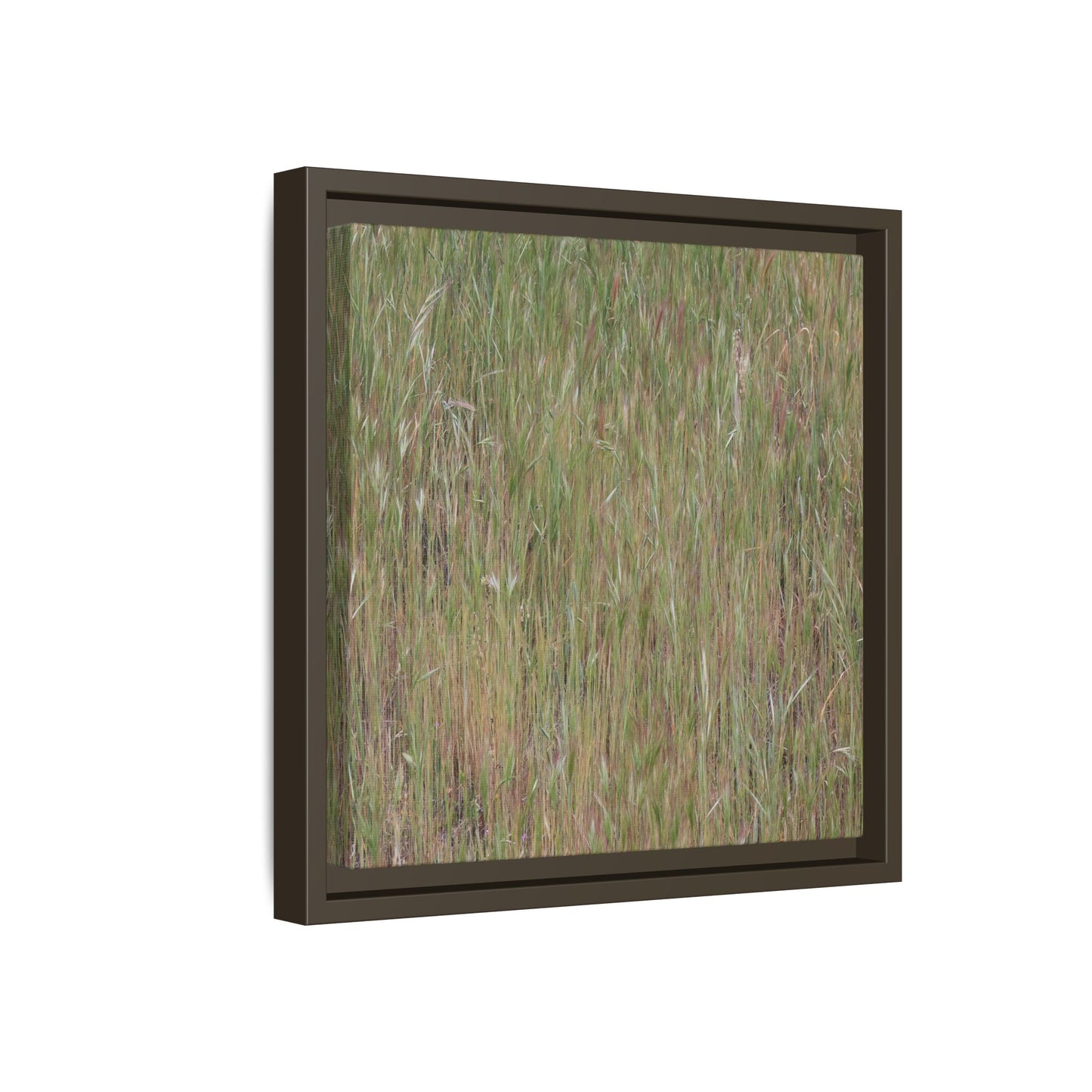 Field of Dreams - Unique Stretched Canvas Wall Art - Art By Earth