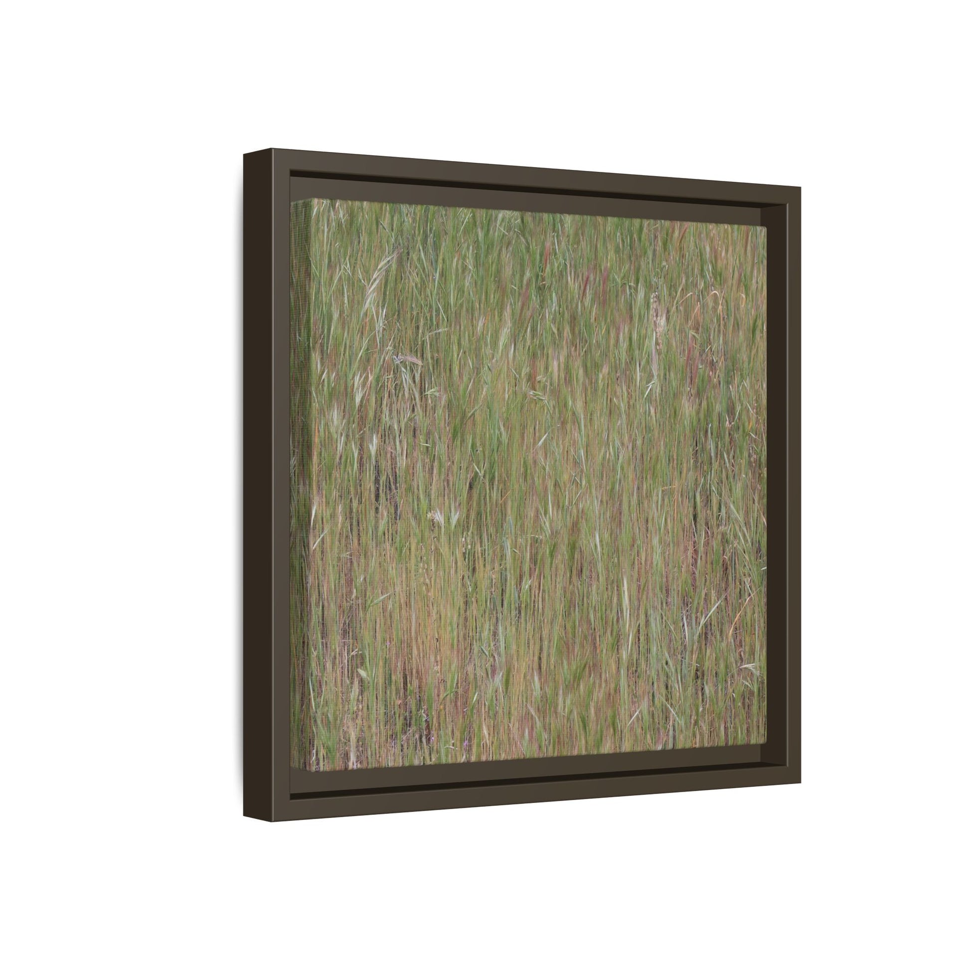 Field of Dreams - Unique Stretched Canvas Wall Art - Art By Earth