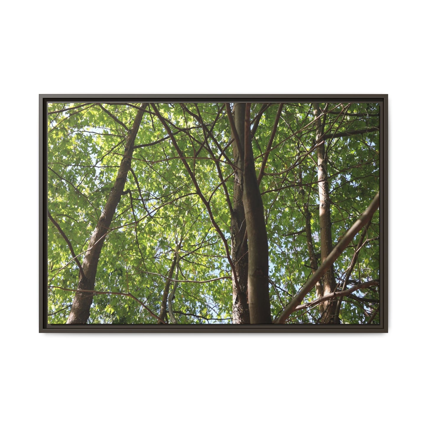 Forest Branches - Unique Stretched Canvas Wall Art