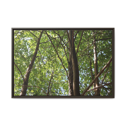 Forest Branches - Unique Stretched Canvas Wall Art