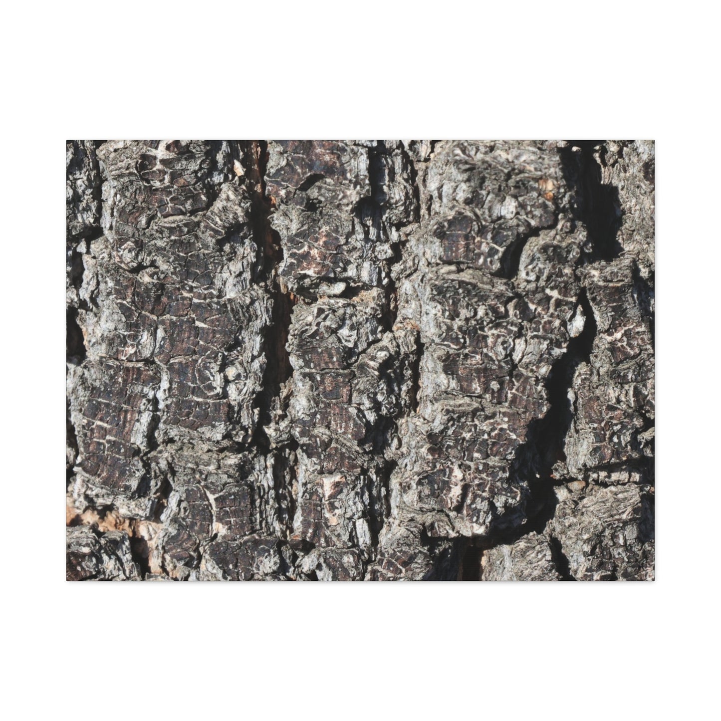 Cracked Skin of Earth - Unique Frameless Canvas Wall Art - Art By Earth