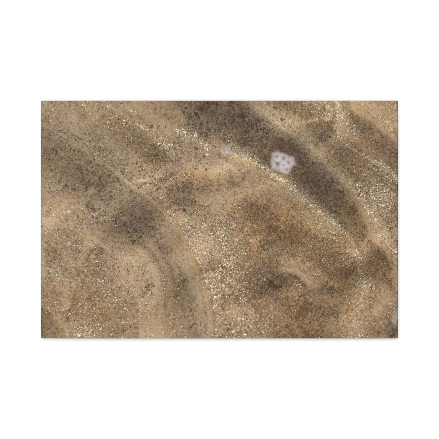 Sandy Shore Impressions - Unique Frameless Canvas Wall Art - Art By Earth