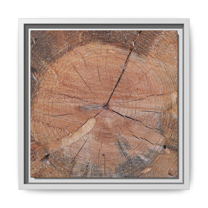 Concentric Memories - Unique Stretched Canvas Wall Art - Art By Earth