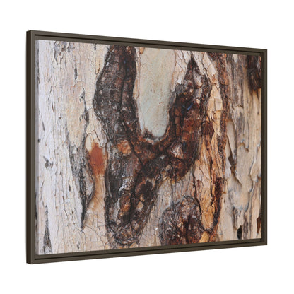 Texture of Time - Unique Stretched Canvas Wall Art - Art By Earth