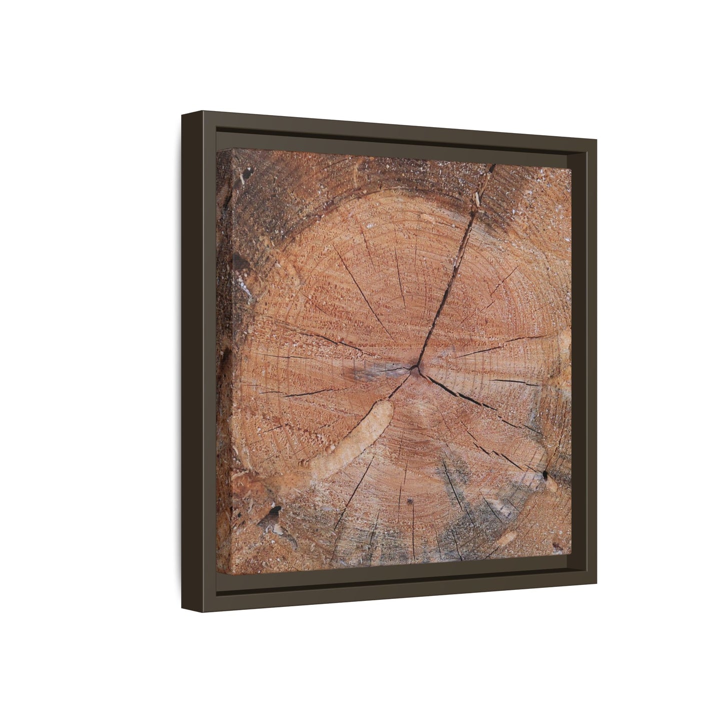 Concentric Memories - Unique Stretched Canvas Wall Art - Art By Earth