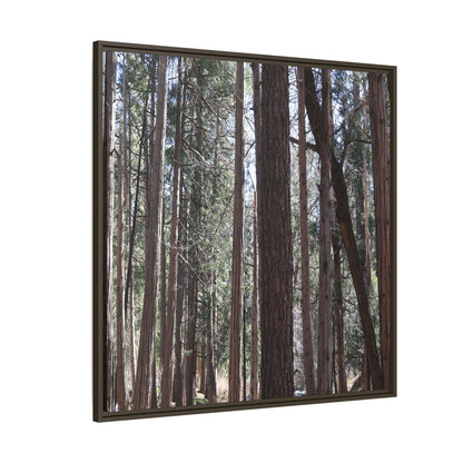 Forest Cathedral - Unique Stretched Canvas Wall Art - Art By Earth