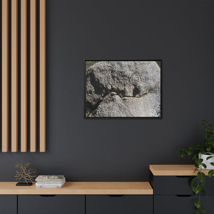 Stone Skull in Desert - Unique Stretched Canvas Wall Art