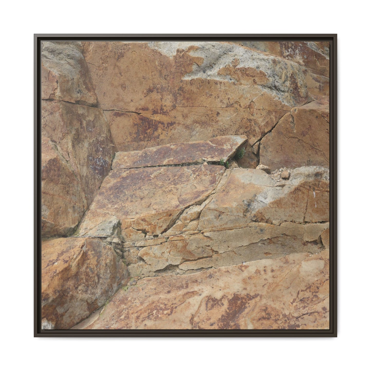 Ancient Foundations - Unique Stretched Canvas Wall Art - Art By Earth