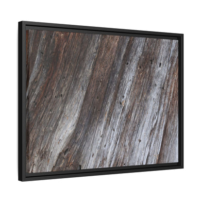 Aged Timber Texture - Unique Stretched Canvas Wall Art - Art By Earth