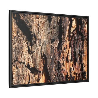 Rugged Beauty - Unique Stretched Canvas Wall Art - Art By Earth