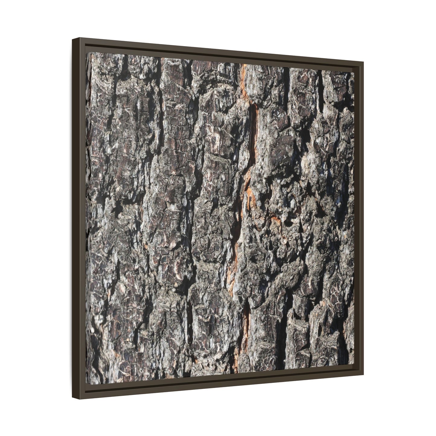 Aged Beauty - Unique Stretched Canvas Wall Art - Art By Earth