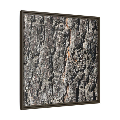 Aged Beauty - Unique Stretched Canvas Wall Art - Art By Earth