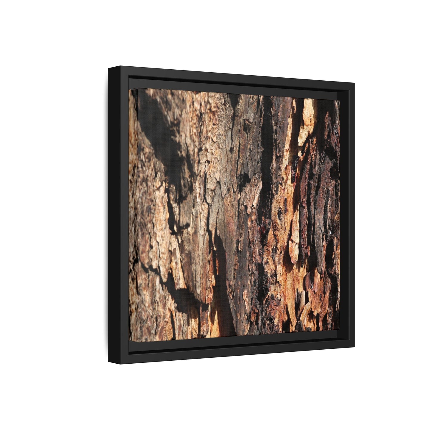 Rugged Beauty - Unique Stretched Canvas Wall Art - Art By Earth