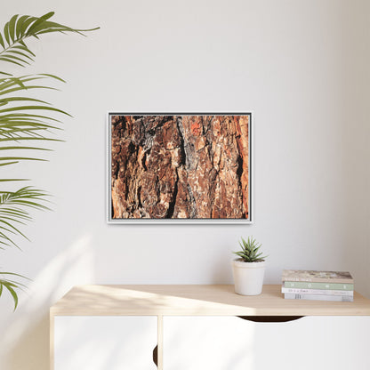 Nature's Rugged Canvas - Unique Stretched Canvas Wall Art