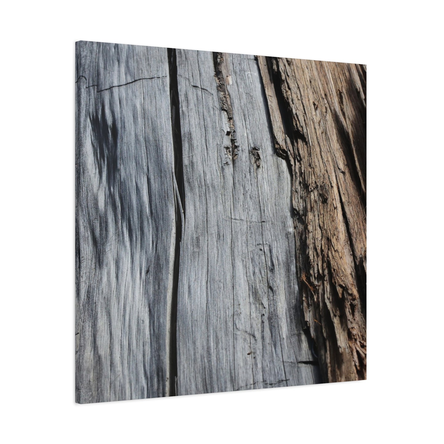 Fracture Lines - Unique Frameless Canvas Wall Art - Art By Earth