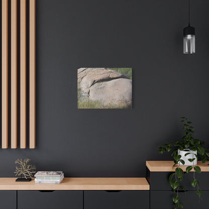 Granite Boulder in Desert Scrub - Unique Frameless Canvas Wall Art - Art By Earth