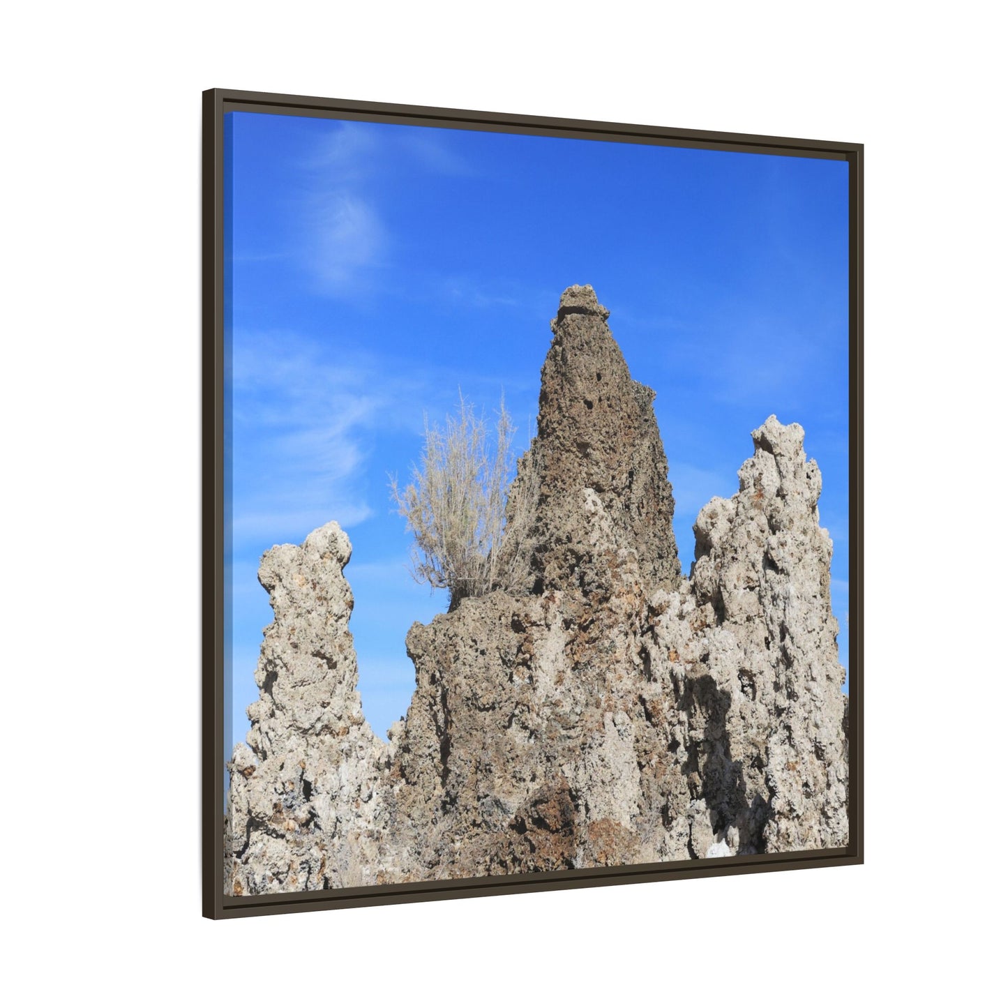 Silent Sentinels - Unique Stretched Canvas Wall Art