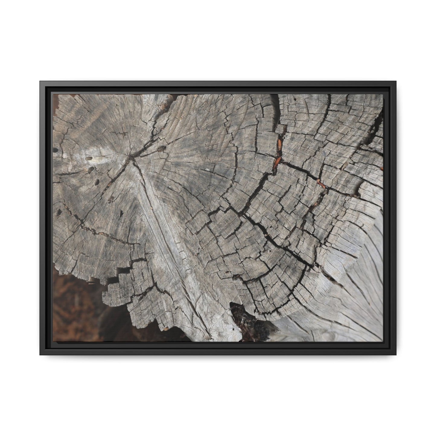 Time's Signature - Unique Stretched Canvas Wall Art - Art By Earth