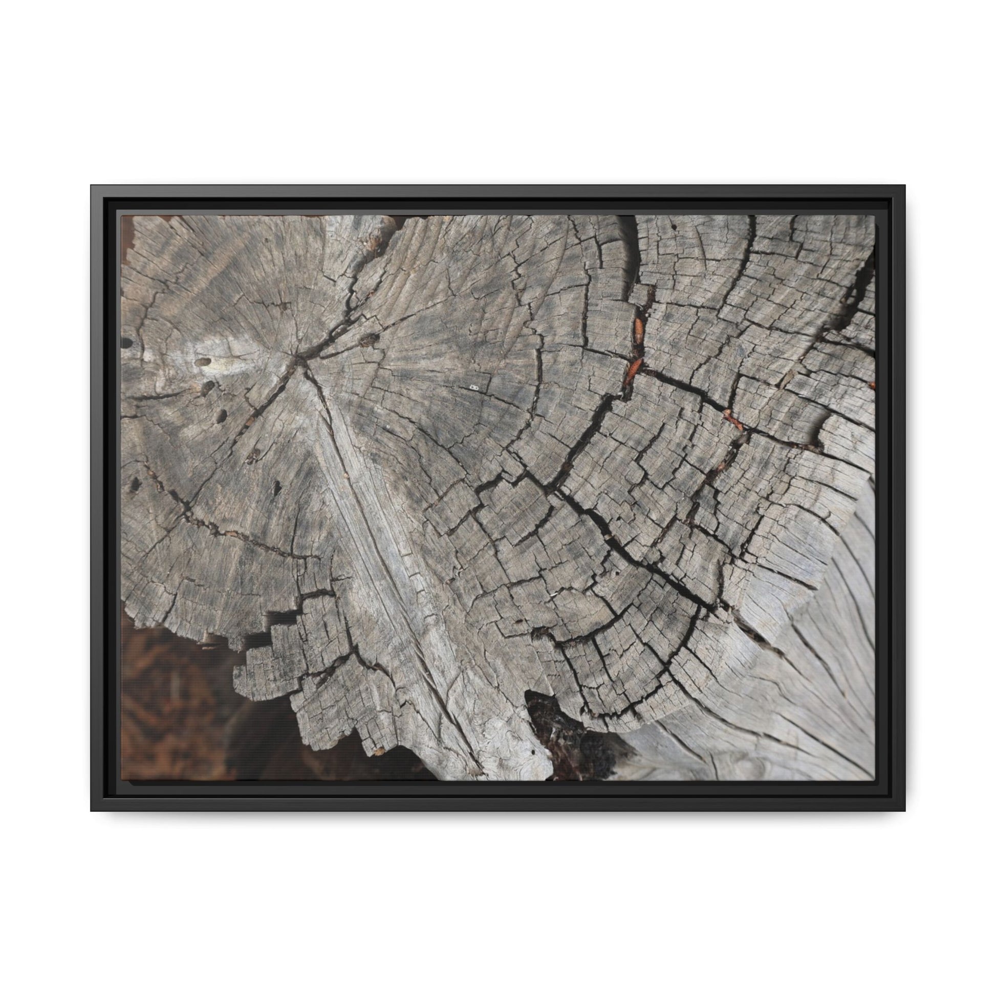 Time's Signature - Unique Stretched Canvas Wall Art - Art By Earth