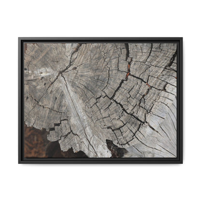 Time's Signature - Unique Stretched Canvas Wall Art - Art By Earth