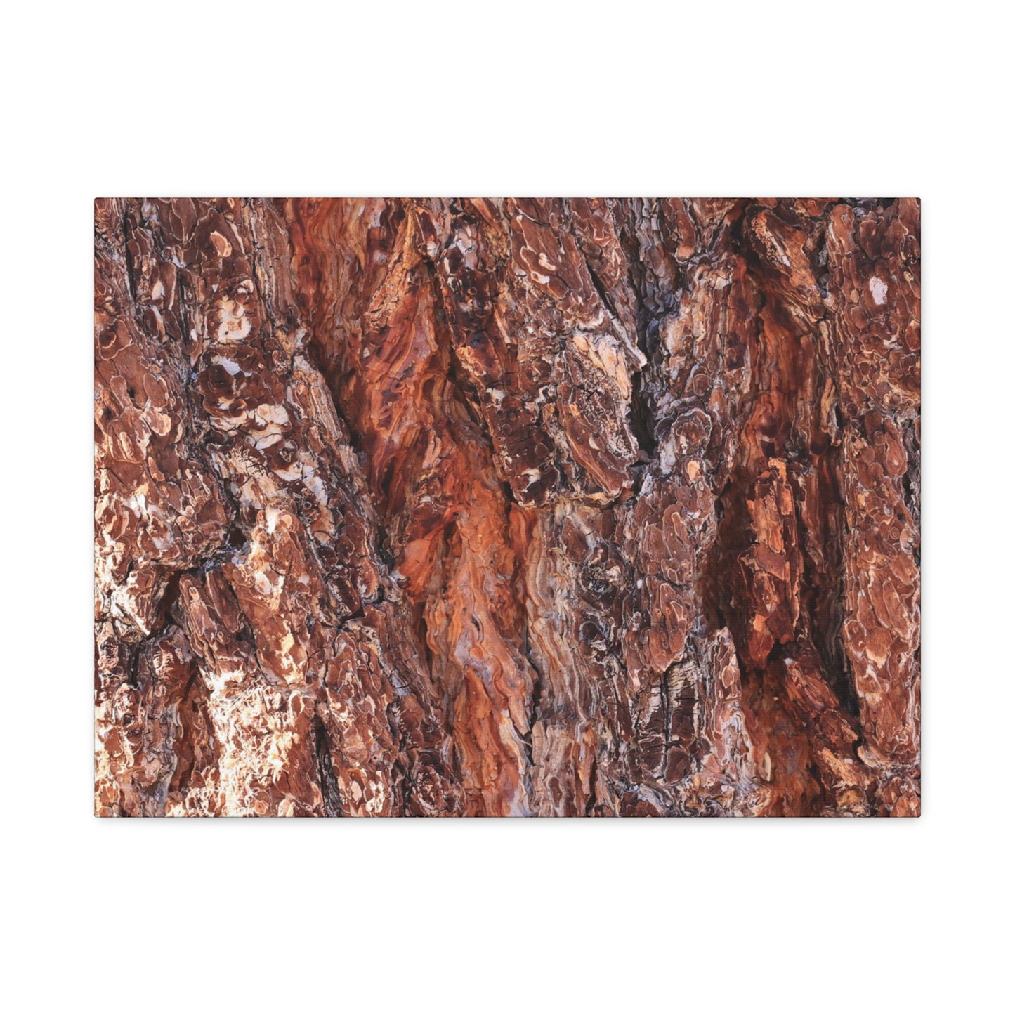 Rust and Ridges - Unique Frameless Canvas Wall Art