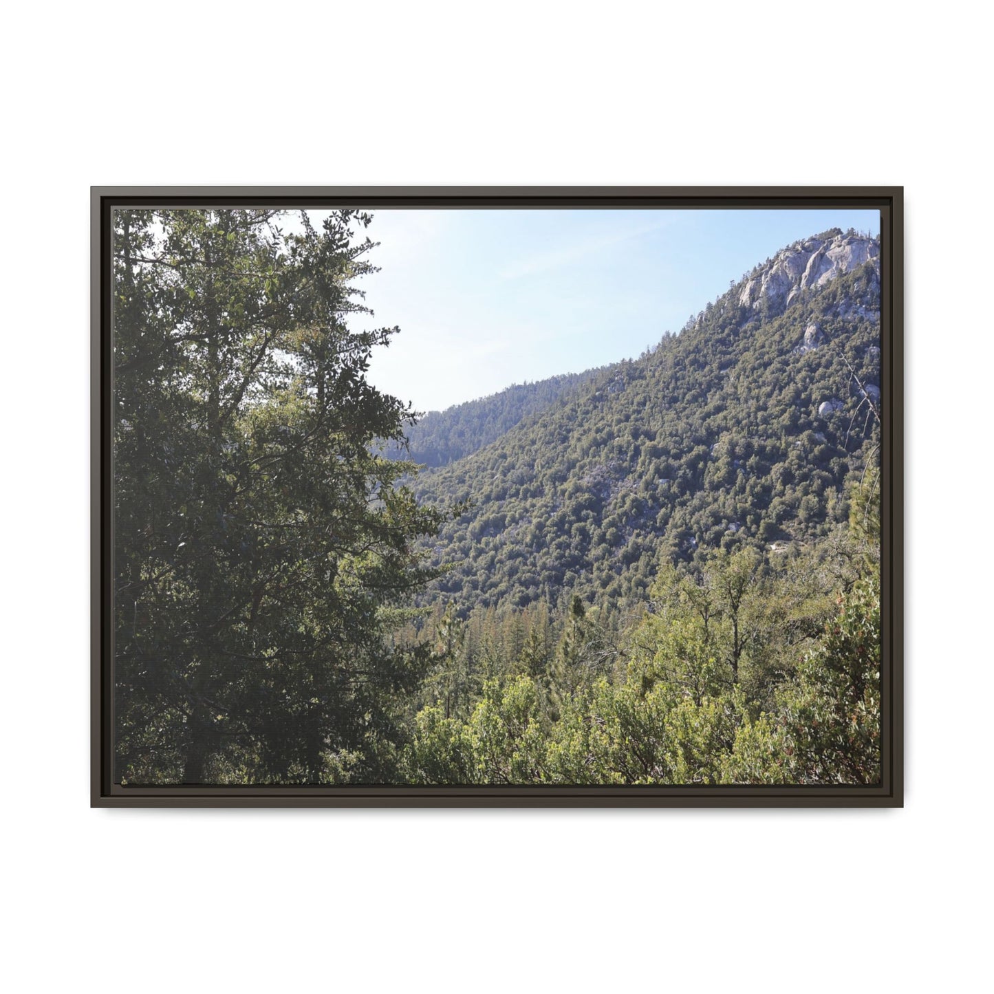 Mountain Valley Forest - Unique Stretched Canvas Wall Art